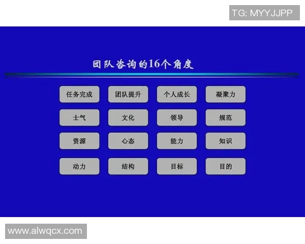 西安羽毛球队团队协作的独特优势与其他球队的对比分析